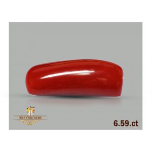Red Coral 6.59ct-Y141