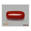 Red Coral 5.92ct-O024