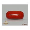 Red Coral 5.95ct-H562