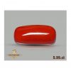 Red Coral 5.99ct-J219