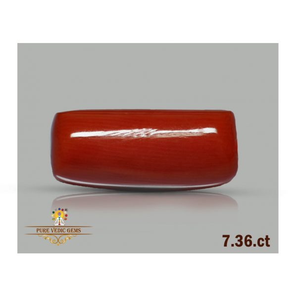 Red Coral 7.36ct-N853