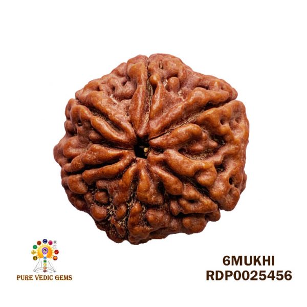 6Mukhi-5.968gm-Z576