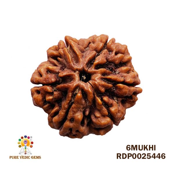 6Mukhi-6.438gm-O261