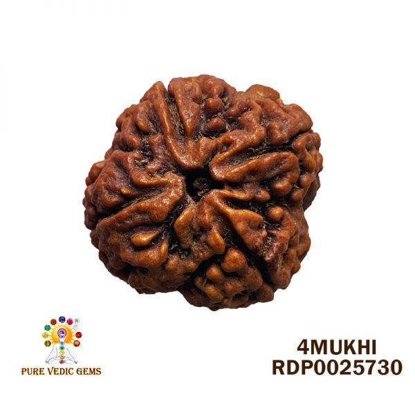 4MU RUDRAKSHA-5.696G-U813