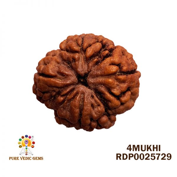 4MU RUDRAKSHA-5.778G-I902
