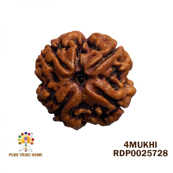 4MU RUDRAKSHA-6.052G-U222