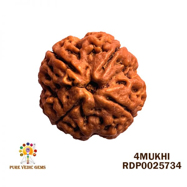 4MU RUDRAKSHA-7.420G-G855