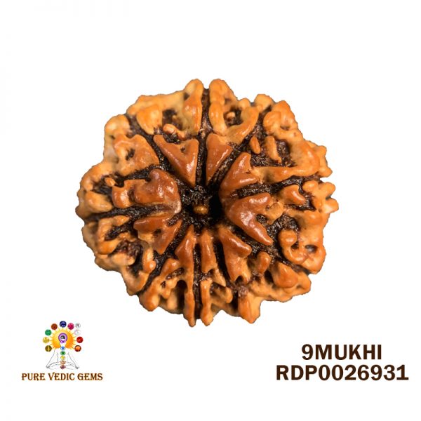 9MUKHI-2.488GM-E223