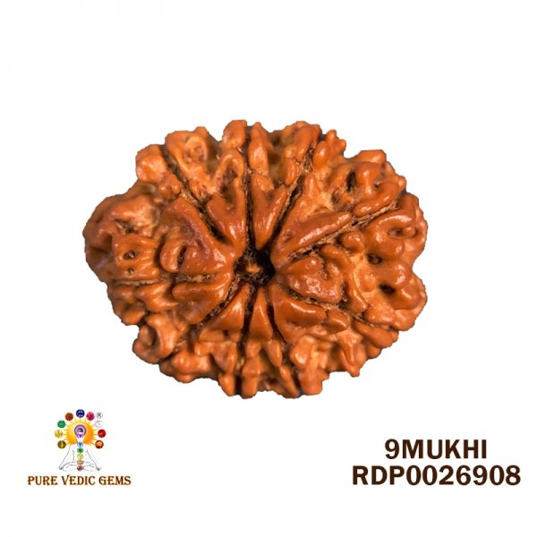 9MUKHI-3.218GM-T791