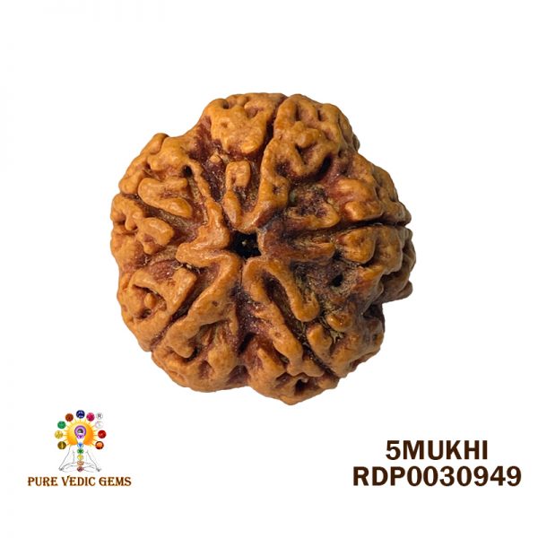 5MUKHI-5.312-H310