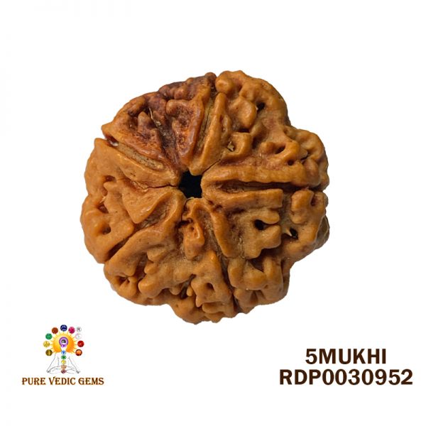 5MUKHI-5.330-B362