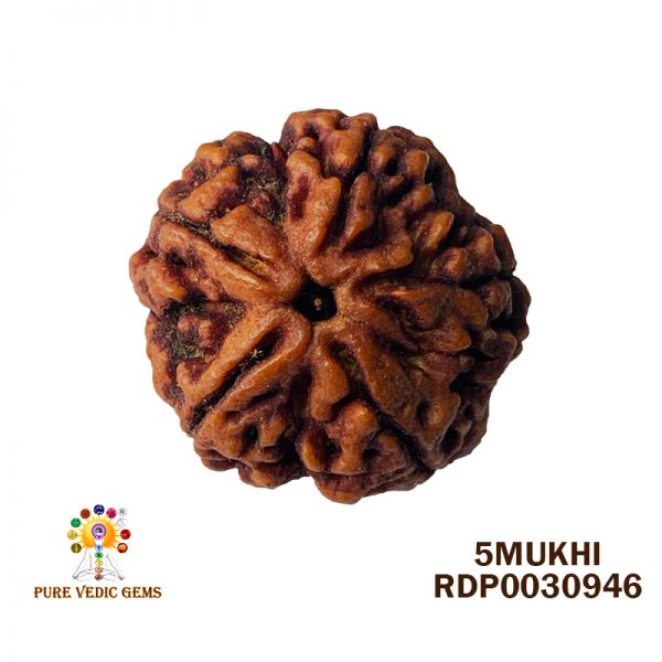 5MUKHI-5.650-X442