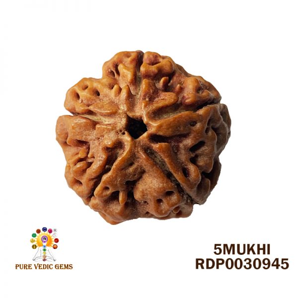 5MUKHI-5.706-T362