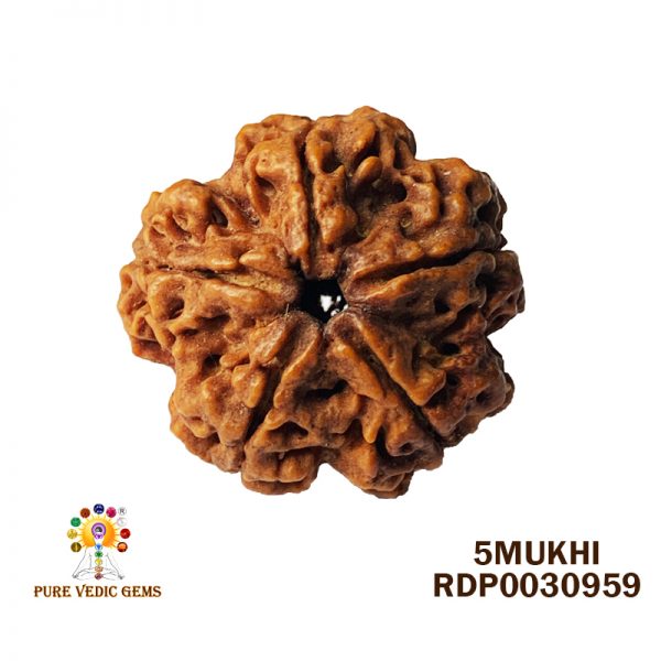 5MUKHI-5.734-H643
