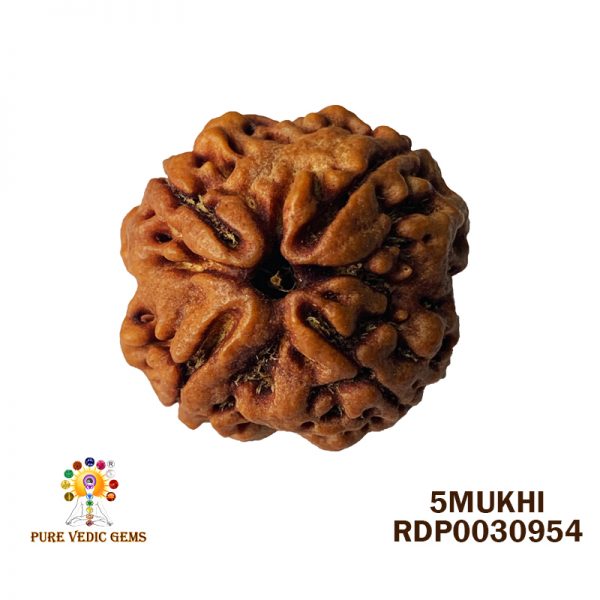 5MUKHI-5.834-F084