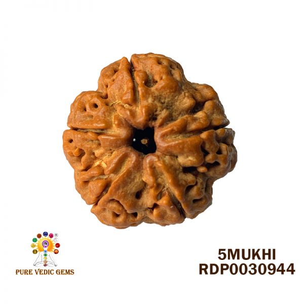 5MUKHI-6.046-C729