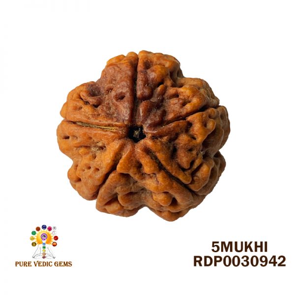 5MUKHI-6.170-Q428