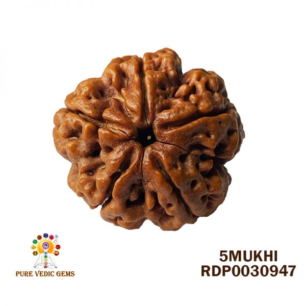 5MUKHI-6.438-R965