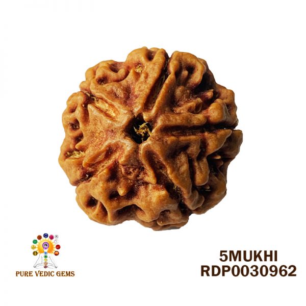 5MUKHI-6.772-O090