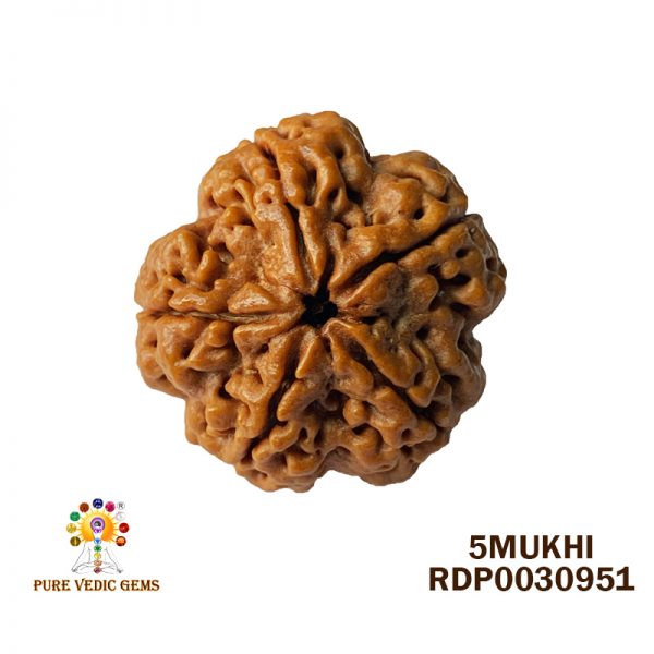 5MUKHI-7.528-V094