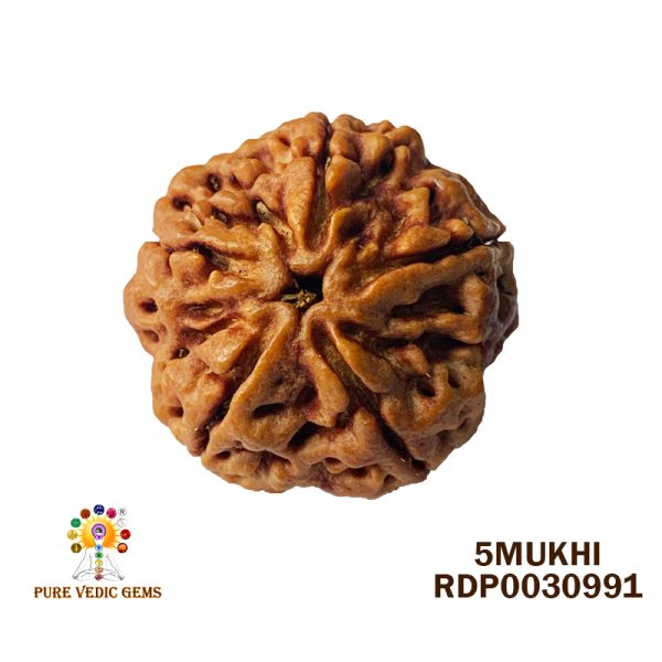 5Mukhi-5.552gm-A515