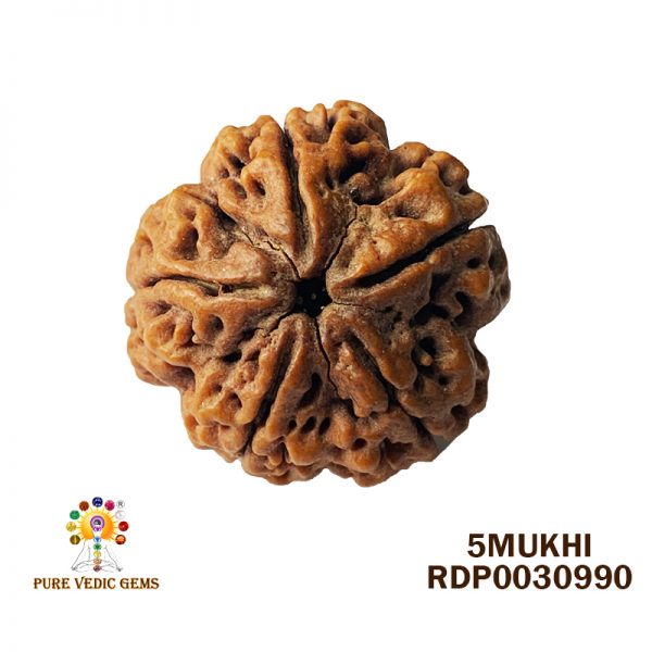 5Mukhi-6.166gm-K407