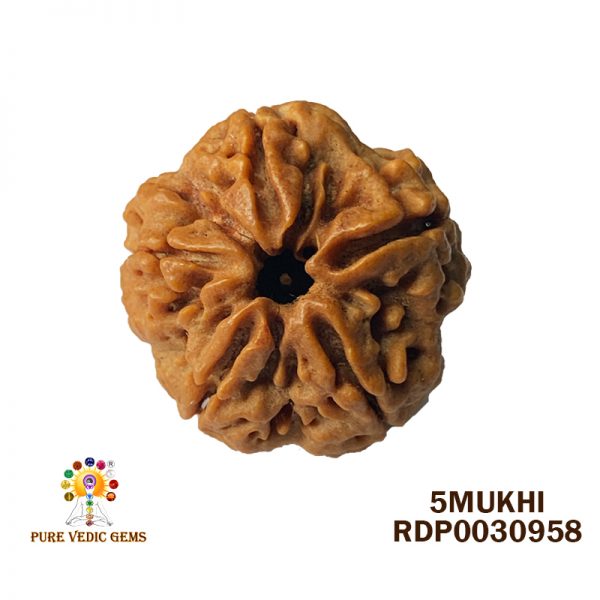 6.220-D662-RDP0030958