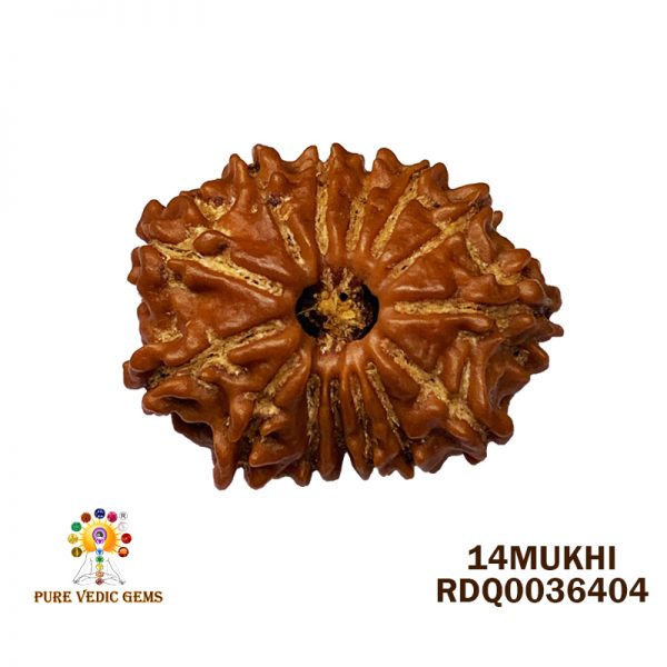 14MUKHI-2.080GM-E211