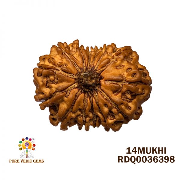 14MUKHI-2.812GM-X134
