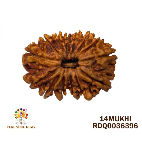 14MUKHI-2.838GM-H801-total price