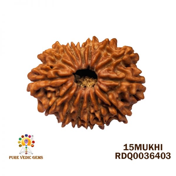 15MUKHI-2.270GM-U350