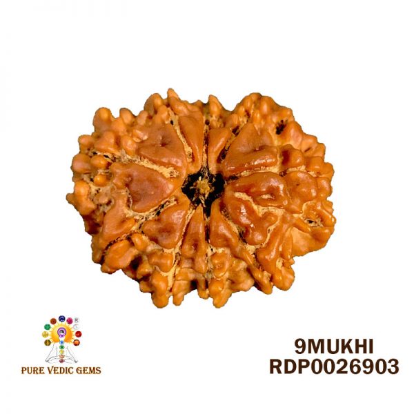 9Mukhi-2.132g-A552