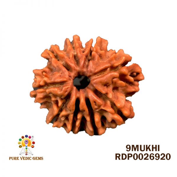 9Mukhi-2.206g-U897