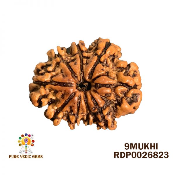 9Mukhi-2.342g-L659