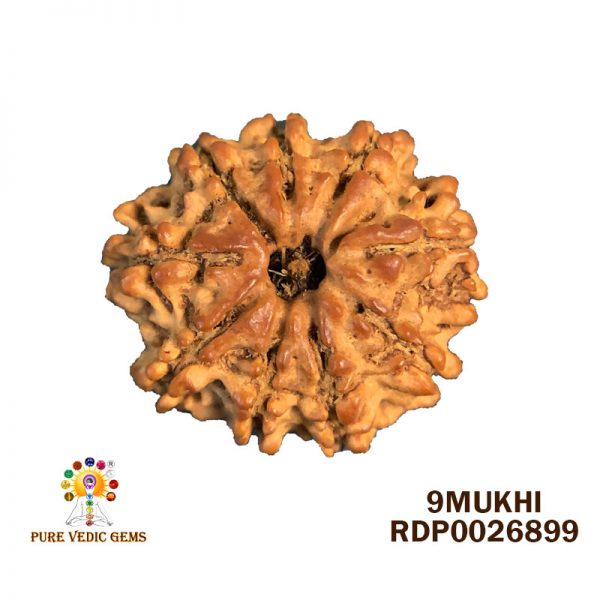 9Mukhi-2.358g-J290