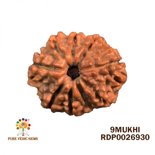 9Mukhi-2.420g-P435