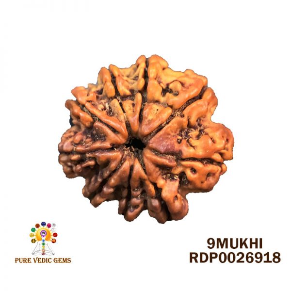 9Mukhi-2.448g-P472