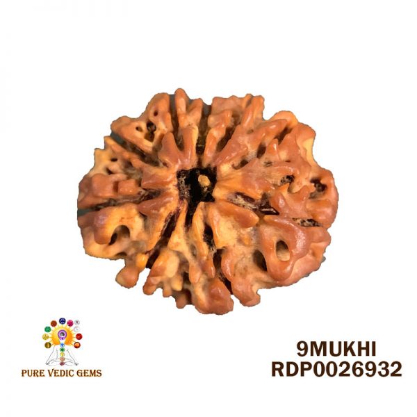 9Mukhi-2.462g-O681