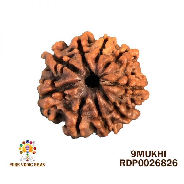 9Mukhi-2.476g-X440
