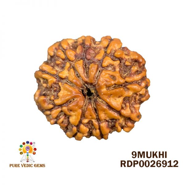 9Mukhi-2.480g-U271