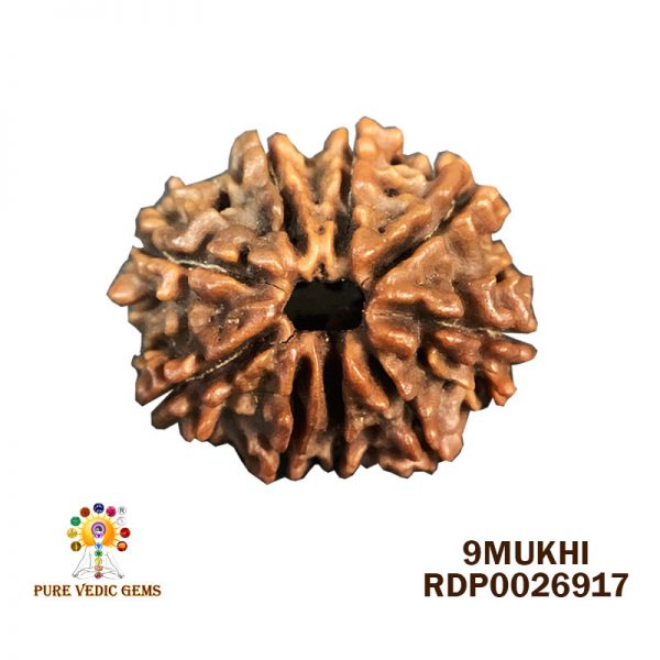 9Mukhi-2.540g-J200