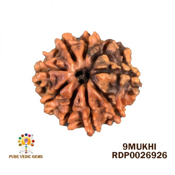 9Mukhi-2.556g-W210