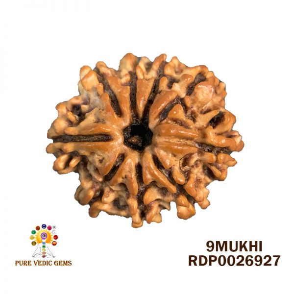 9Mukhi-2.658g-C323