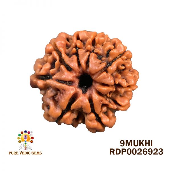 9Mukhi-2.784g-S467