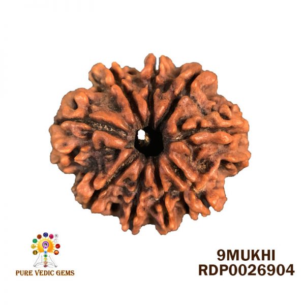 9Mukhi-2.792g-V338