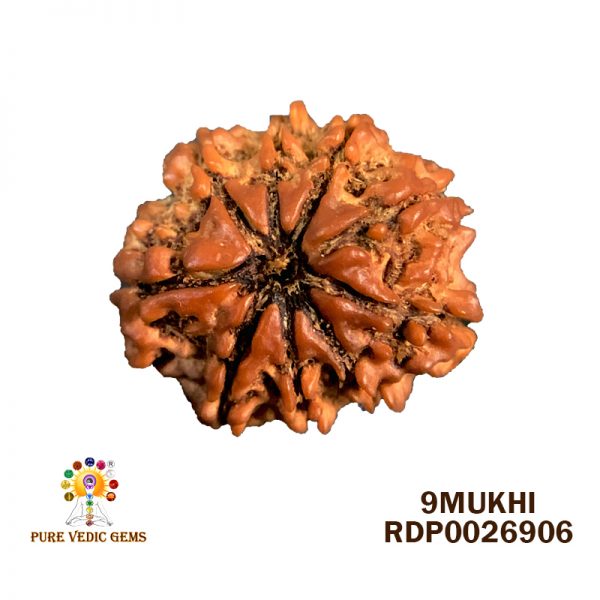 9Mukhi-2.802g-B899