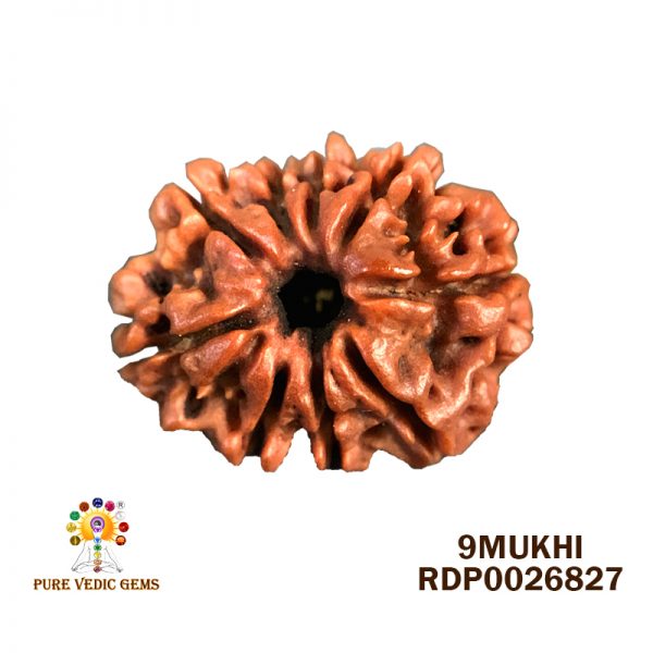 9Mukhi-2.868g-A653