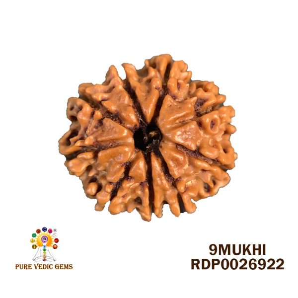 9Mukhi-2.982g-A618