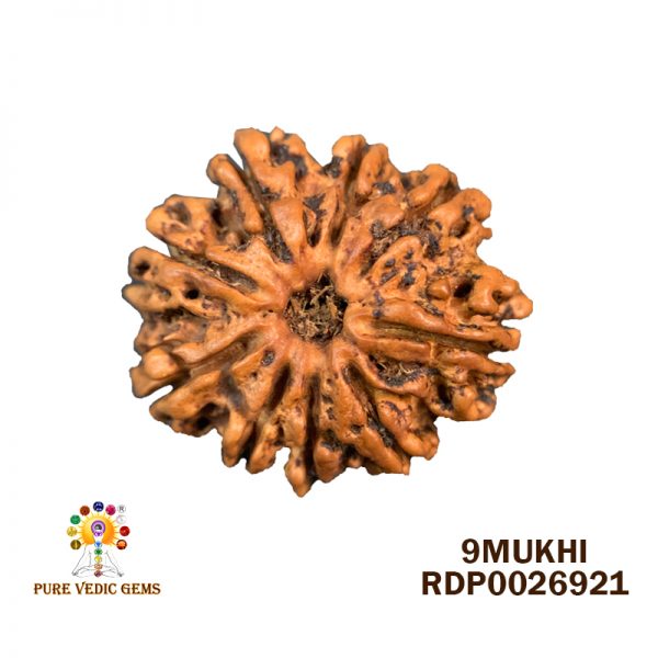 9Mukhi-2.986g-V200