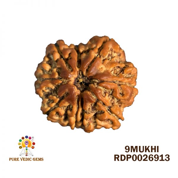 9Mukhi-3.030g-C883